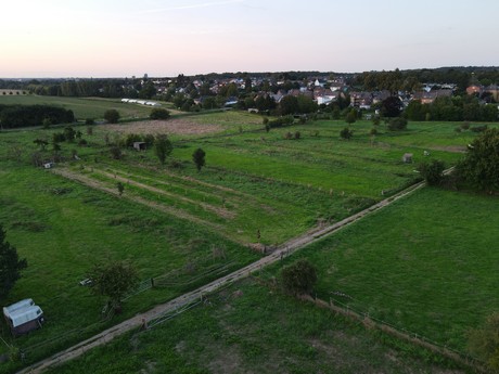 Bliesheim