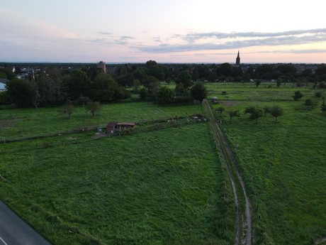 Bliesheim
