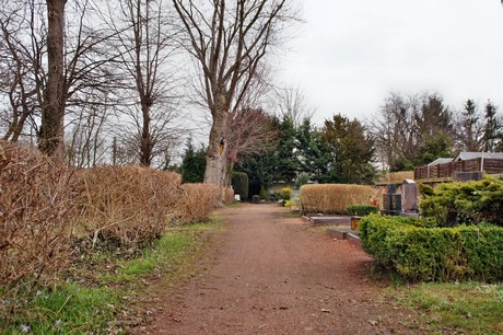friedhof