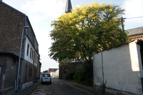 bliesheim