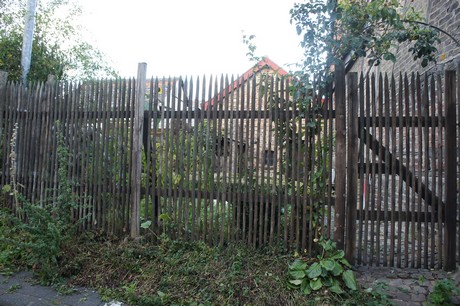 bliesheim