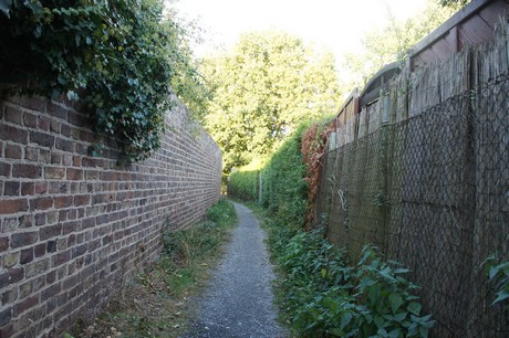 bliesheim