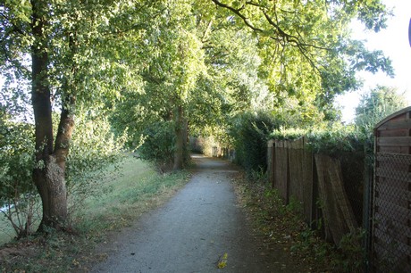 bliesheim