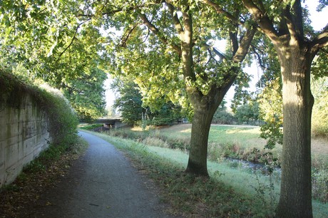 bliesheim