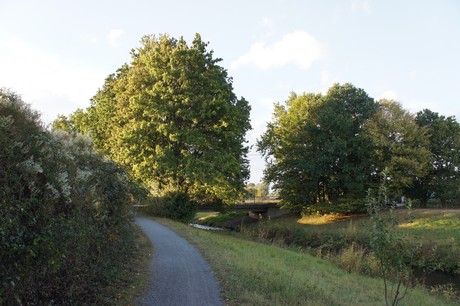 bliesheim