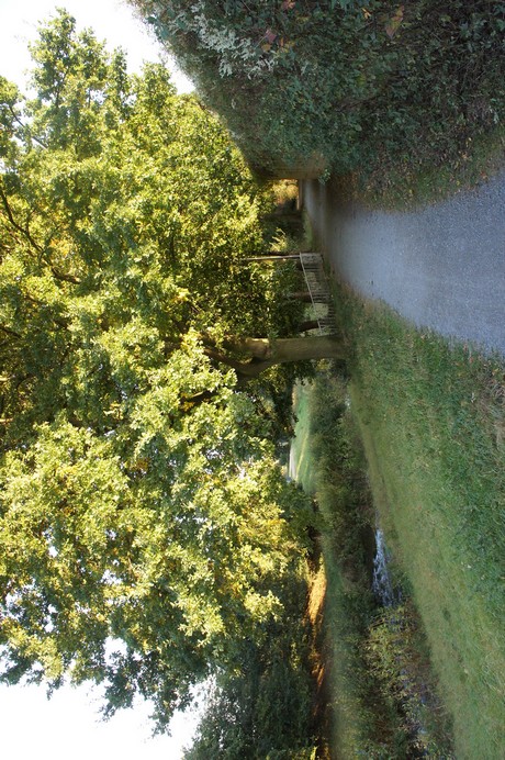 bliesheim