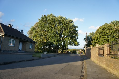 bliesheim