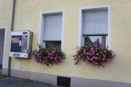 bliesheim