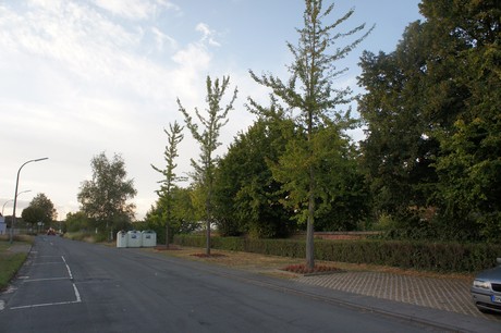 bliesheim