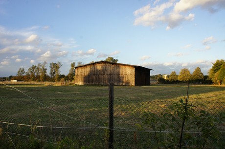bliesheim
