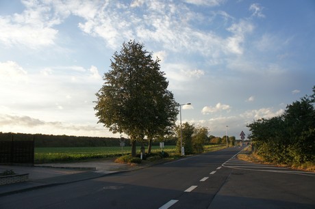 bliesheim