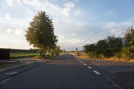 bliesheim