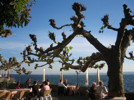 bodensee
