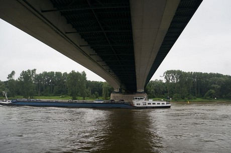 bonn