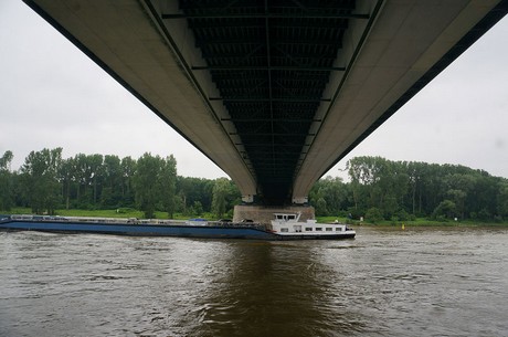 bonn