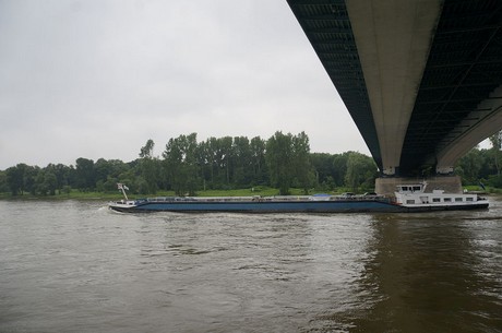 bonn