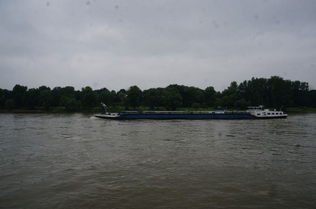 bonn