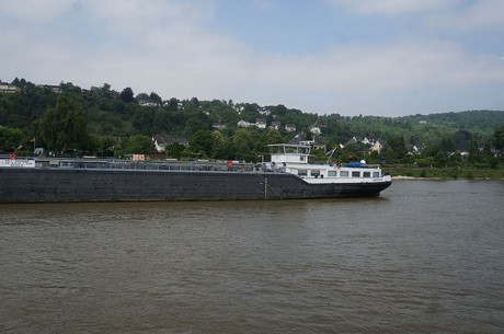 bonn