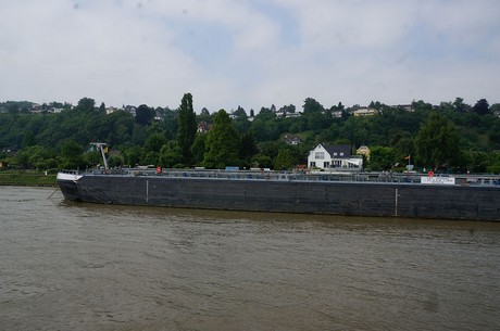 bonn