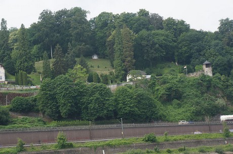 bonn