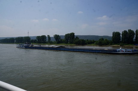 bonn