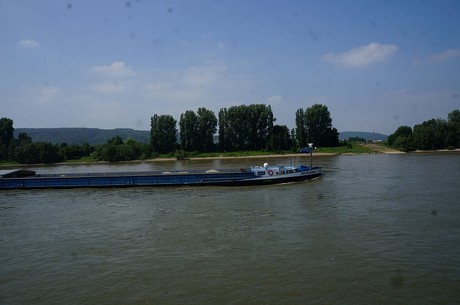 bonn