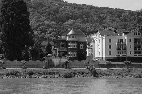 bonn