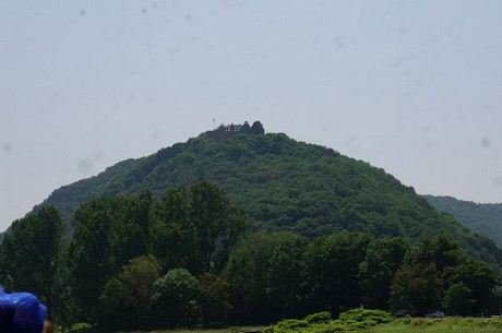 bonn