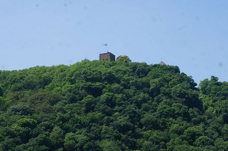bonn