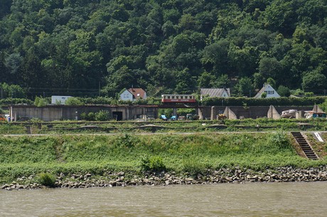 bonn