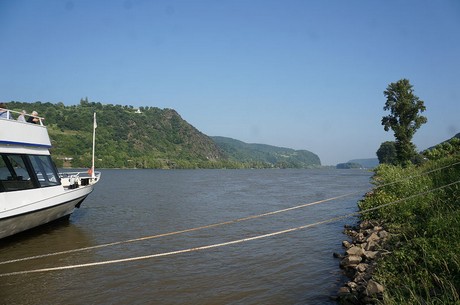bonn
