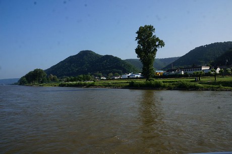 bonn
