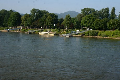bonn