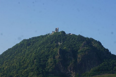 bonn
