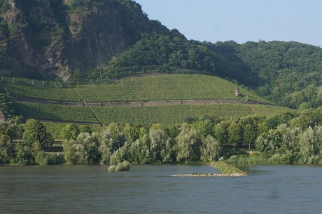 bonn