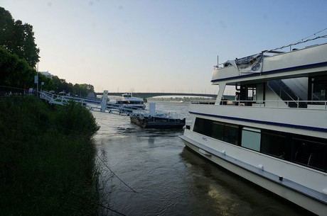 bonn