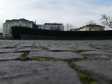 Bonn
