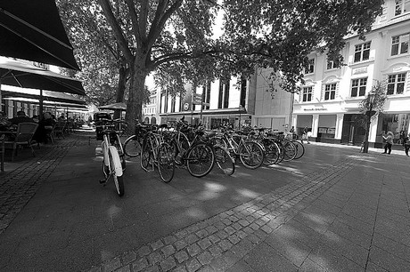 bonn