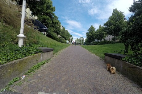 bonn