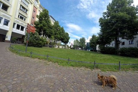 bonn