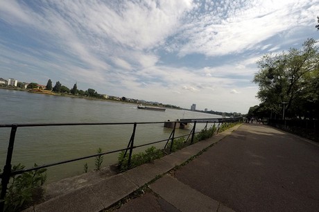 bonn