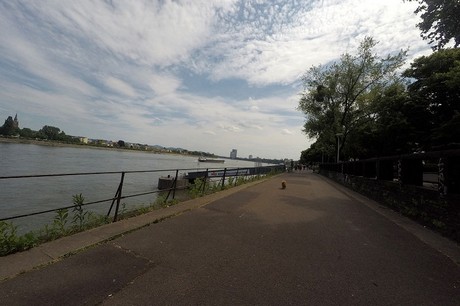 bonn