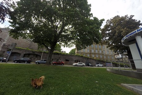 bonn