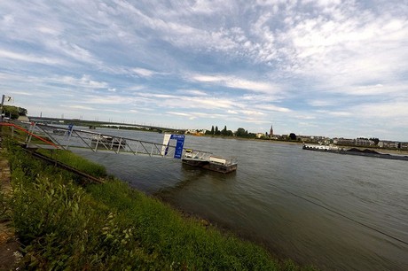bonn