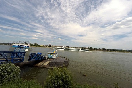 bonn