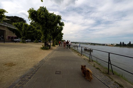 bonn