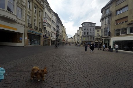 bonn