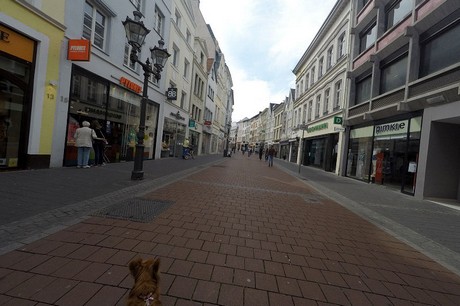 bonn