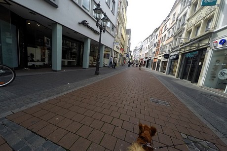 bonn