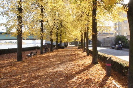 bonn